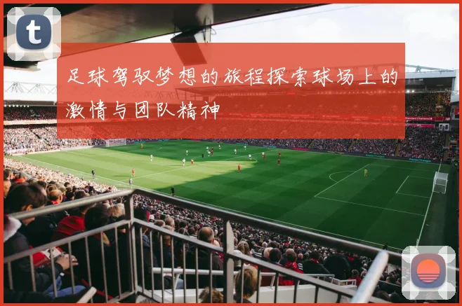 足球驾驭梦想的旅程探索球场上的激情与团队精神