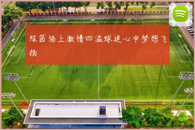 绿茵场上激情四溢球迷心中梦想飞扬