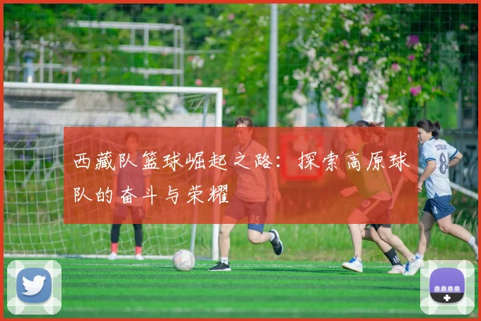 西藏队篮球崛起之路：探索高原球队的奋斗与荣耀