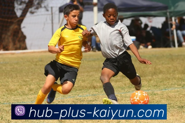 开云APP 高清赛事图